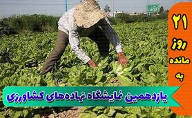 نمایشگاه جامع کشاورزی؛ تلاشی برای آینده‌ای پربارتر

