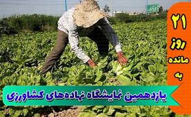 نمایشگاه جامع کشاورزی؛ تلاشی برای آینده‌ای پربارتر

