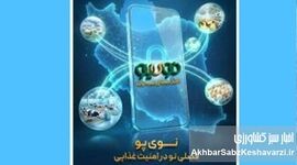 پایان دلهره دان مرغداری‌ها با ابتکار جدید بانک کشاورزی

