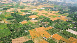 تجمیع و یکپارچه سازی ۱۱ هزار و ۴۰۰ هکتار اراضی کشاورزی


