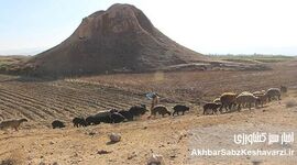 تل ضحاک فسا در معرض نابودی؛ شخم زمین، برداشت خاک و حفاری غیرمجاز در محوطه تاریخی