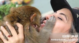 توجه به حیوانات، اهمیت به فرهنگ انسانی است

