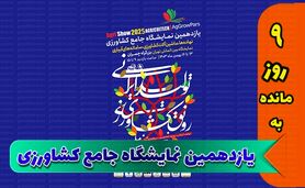 شب‌های باشکوه نمایشگاه جامع

