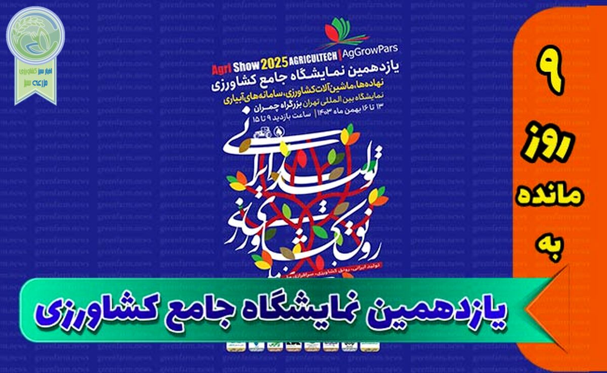 شب‌های باشکوه نمایشگاه جامع

