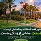 راز همزیستی انسان و طبیعت در شهر؛ چرا خیابان‌ها به آشتی با محیط‌زیست نیاز دارند؟