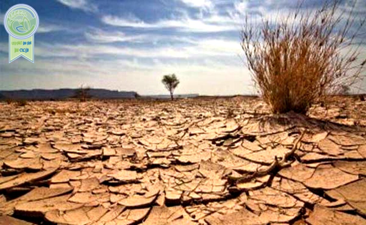 بیابان‌زایی محصول نابودی تالاب‌ها


