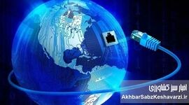 ۵۰ روز قطعی اینترنت چقدر خسارت زد؟ برآورد یک میلیارد دلاری