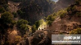 از متهمان بیابان‌زایی تا حافظان مرتع؛ نقش دامداری کوچ‌رو در احیای طبیعت
