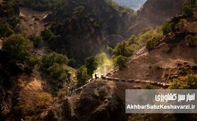 از متهمان بیابان‌زایی تا حافظان مرتع؛ نقش دامداری کوچ‌رو در احیای طبیعت
