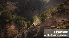 از متهمان بیابان‌زایی تا حافظان مرتع؛ نقش دامداری کوچ‌رو در احیای طبیعت
