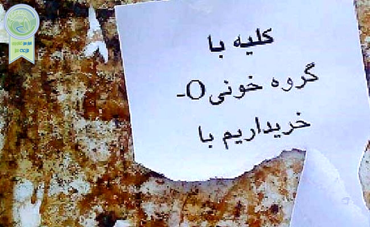 کلیه فروشی برای فرار از فقر!