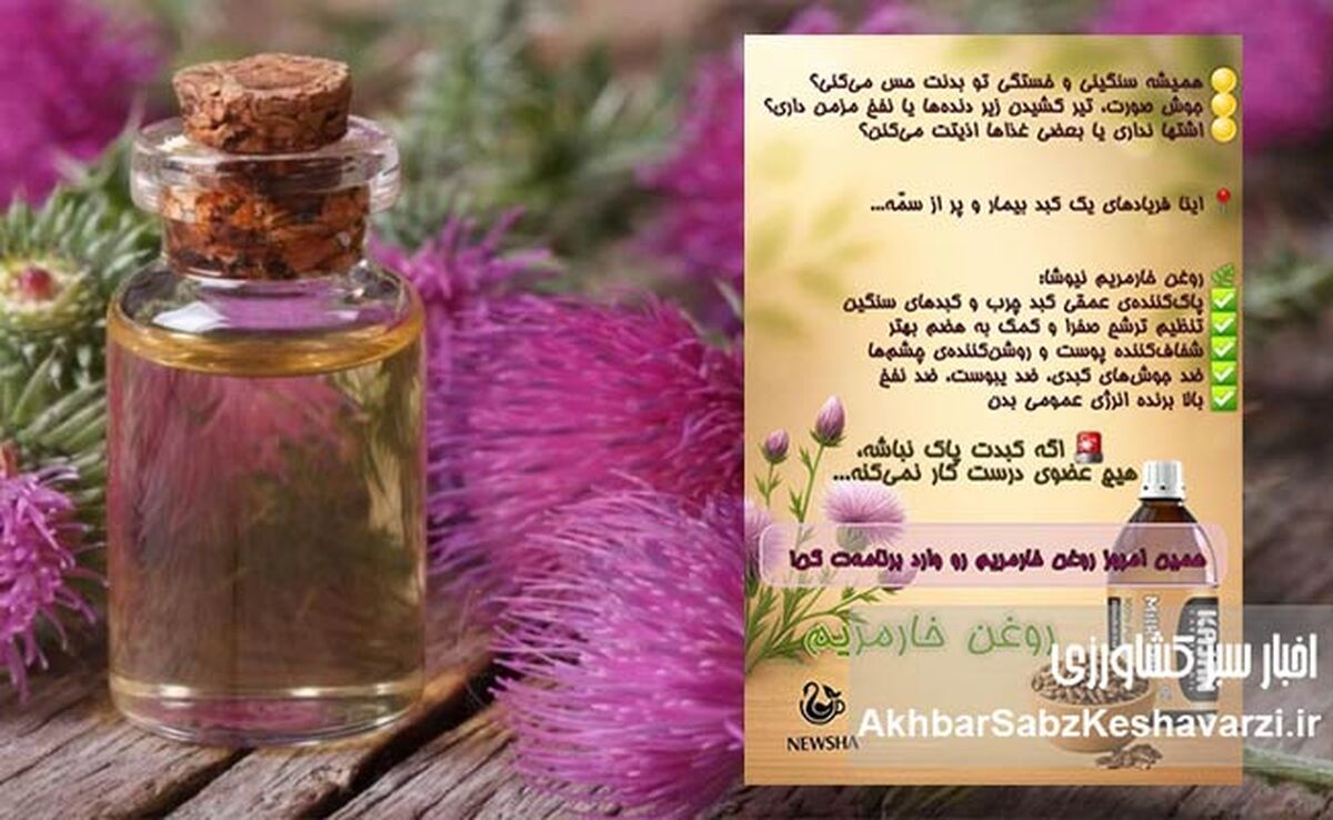 اکسیر جادویی برای کبد شما: روغن خار مریم