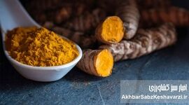 راز یک ادویه طلایی: آیا زردچوبه کلید مبارزه با کبد چرب و دیابت نوع ۲ است؟