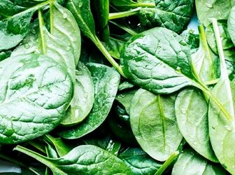 این گیاه بیشتر از همبرگر آهن دارد

