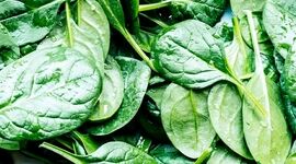 این گیاه بیشتر از همبرگر آهن دارد

