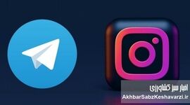 اینستاگرام و تلگرام بدون فیلتر می‌شوند؟ پاسخ رسمی زیرساخت