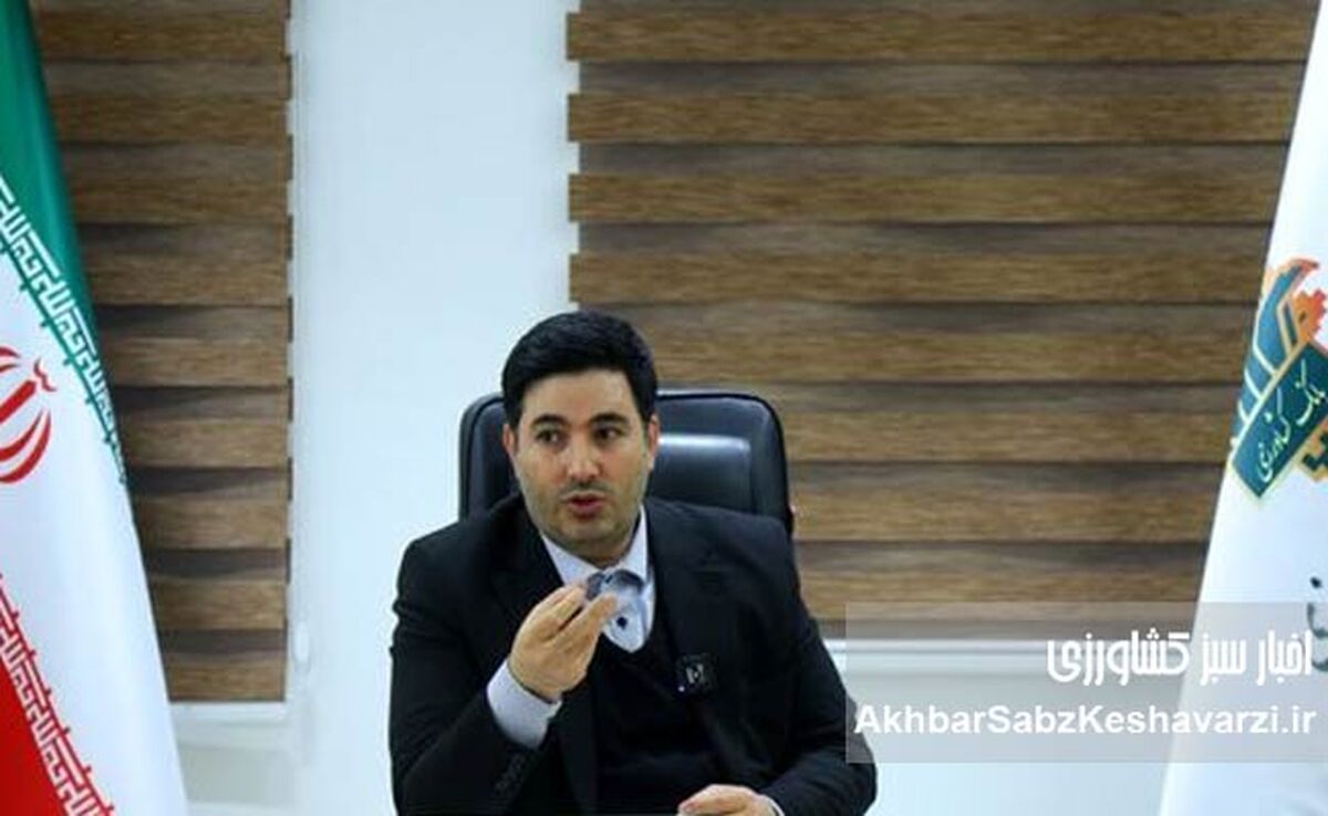 بیمه گندم رایگان شد + افزایش ۱۵۰ درصدی غرامت‌ها