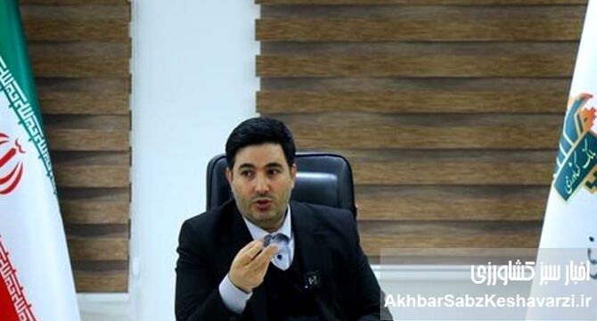 بیمه گندم رایگان شد + افزایش ۱۵۰ درصدی غرامت‌ها