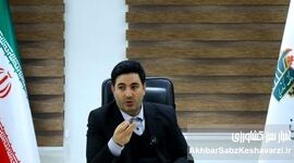 بیمه گندم رایگان شد + افزایش ۱۵۰ درصدی غرامت‌ها
