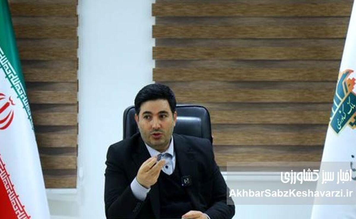 بیمه گندم رایگان شد + افزایش ۱۵۰ درصدی غرامت‌ها