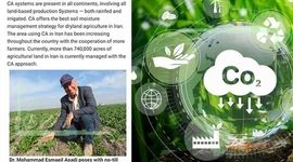کربن «ستون فقرات» امنیت غذایی

