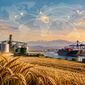 کشاورزی ایران در مسیر توسعه همکاری‌های بین‌المللی؛ از آسیای مرکزی تا همسایگان شرقی