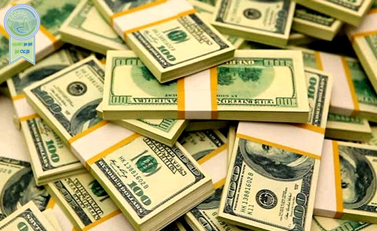 قیمت دلار و یورو امروز یک‌شنبه۲ اردیبهشت ۱۴۰۳+ جدول

