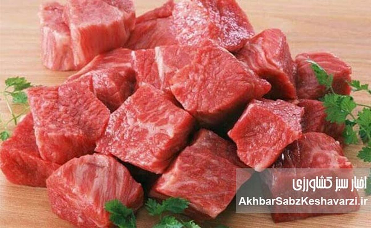 سرنوشت گوشت قرمز چه می‌شود؟ حذف ارز ترجیحی در کانون توجه ستاد تنظیم بازار!