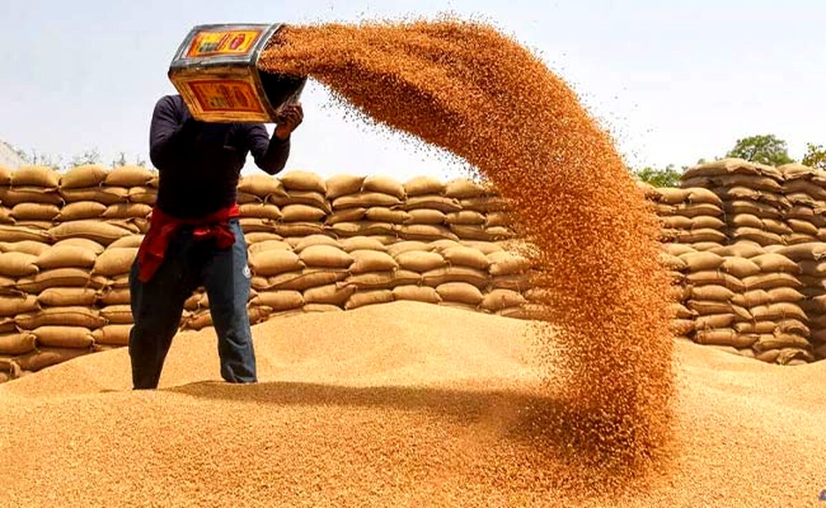 طلب ۳۴ هزار میلیارد تومانی کشاورزان از دولت بابت گندم


