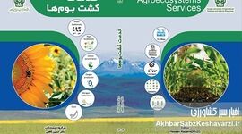 کشاورزی پایدار، فراتر از تامین غذا: نگاهی عمیق به «خدمات کشت بوم‌ها»