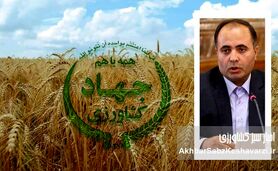 کاهش ۴ میلیون تنی تولید گندم: نتیجه یک سال مدیریت قزلجه بستان‌آبادی
