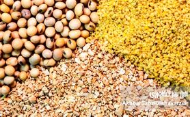 تخصیص ۴۵۰ میلیون دلار از ارز معوق نهاده‌های دامی؛ گامی مهم برای بازگشت ثبات به بازار خوراک دام