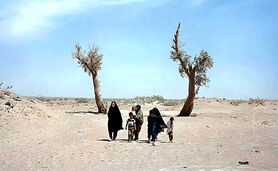 مهاجرت یک‌پنجم مردم سیستان

