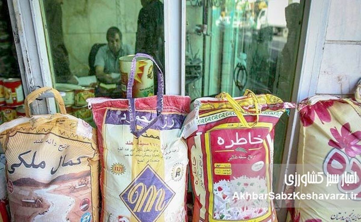 قیمت برنج هندی به شدت ارزان شد؛ مقایسه قیمت‌ها