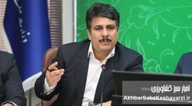 تأخیر ۱۰‌ماهه دولت در پرداخت بدهی واردکنندگان نهاده دامی، بحران مرغ را تشدید می‌کند+ ویدئو