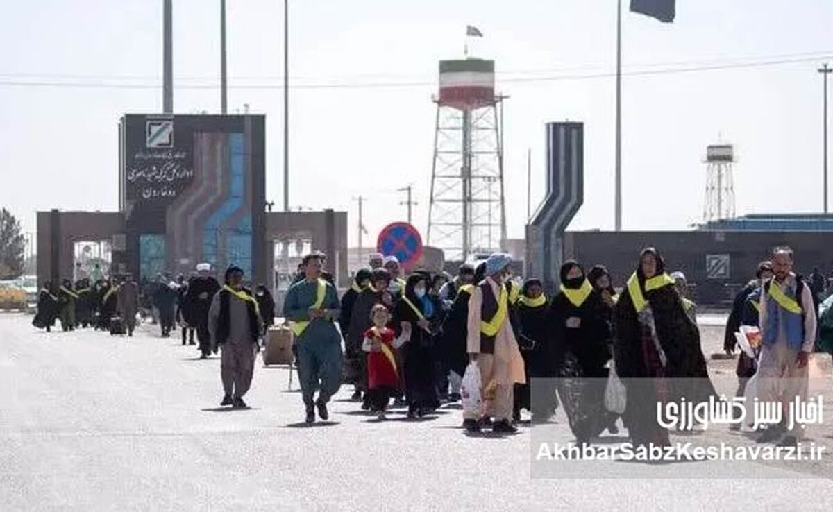 تعداد افغانستانی‌های آماده حضور در مراسم تشییع اعلام شد؛ صدور ۲۵۰۰ روادید