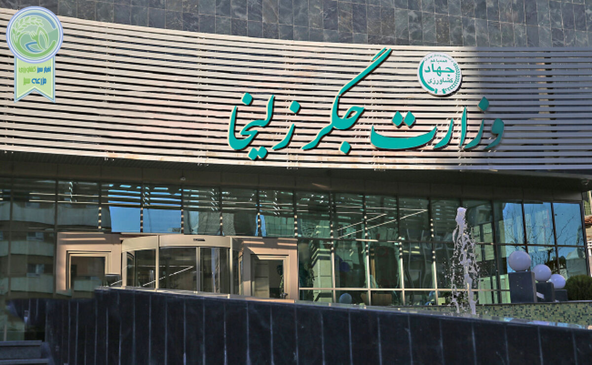 وزارت جگر زلیخا+فیلم