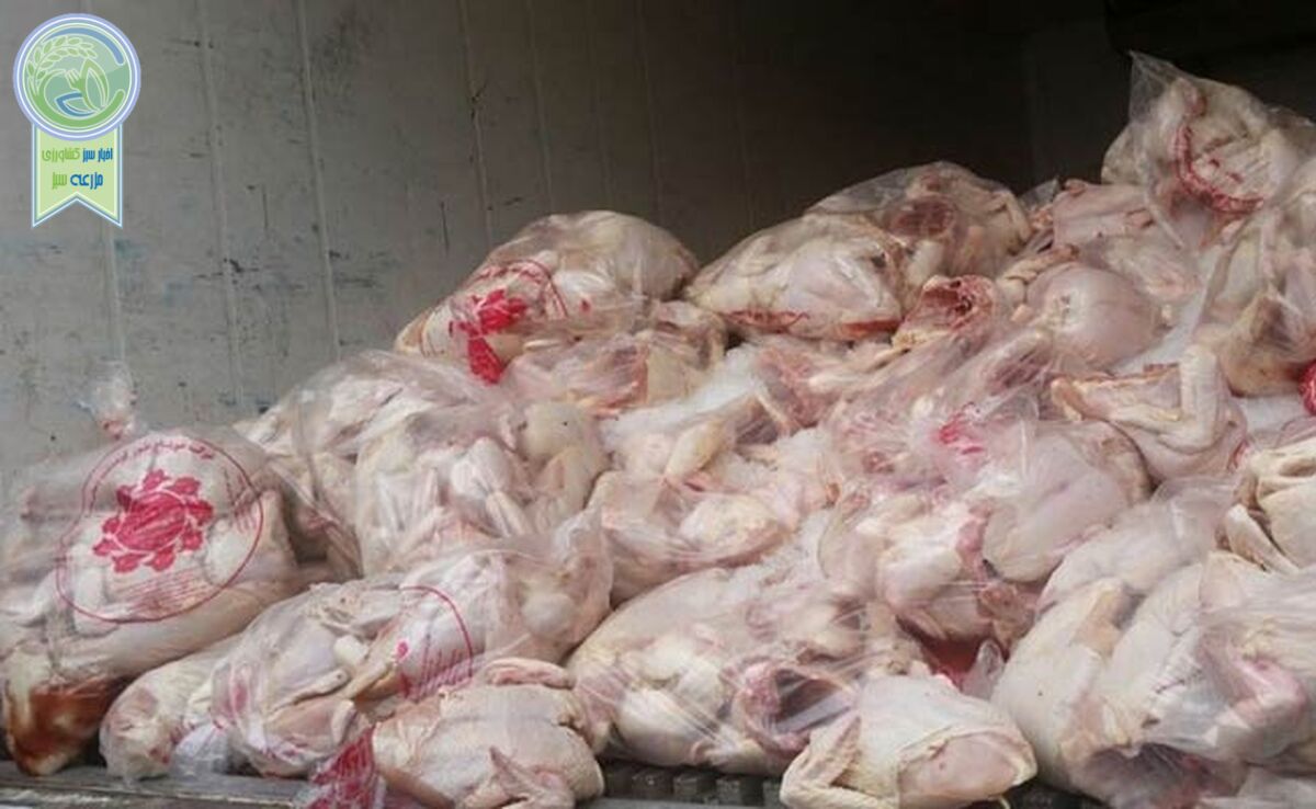 افزایش قیمت گوشت مرغ صحت ندارد
