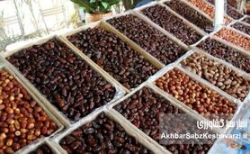 بازاری که با یک امضا سوخت؛ چگونه روسیه از سبد خرمای ایران حذف شد؟