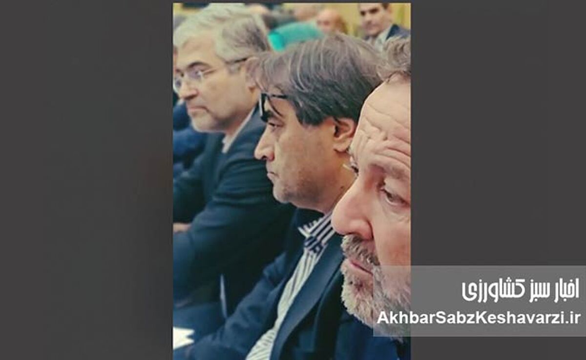 تنها درخواست دامداران از مسئولین: شکم گوسفندها را سیر کنید، با شما هیچ کار دیگری نداریم!+ویدئو