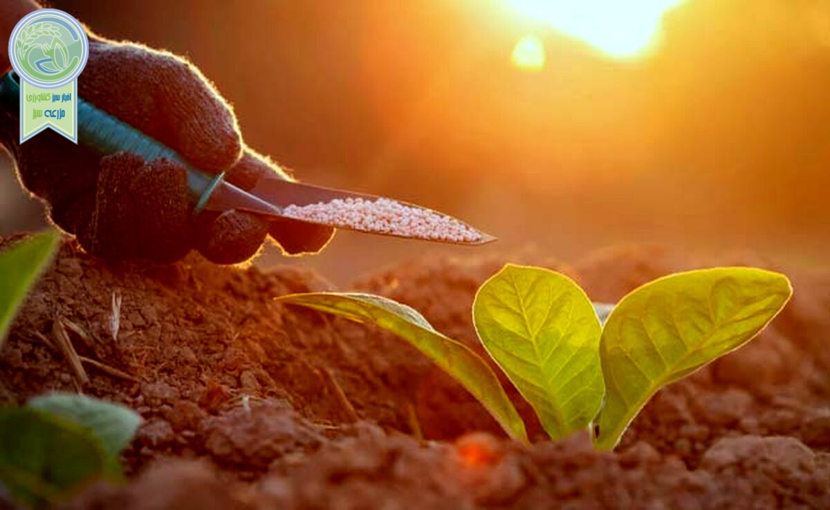 نکاتی طلایی برای کود دهی بهاره

