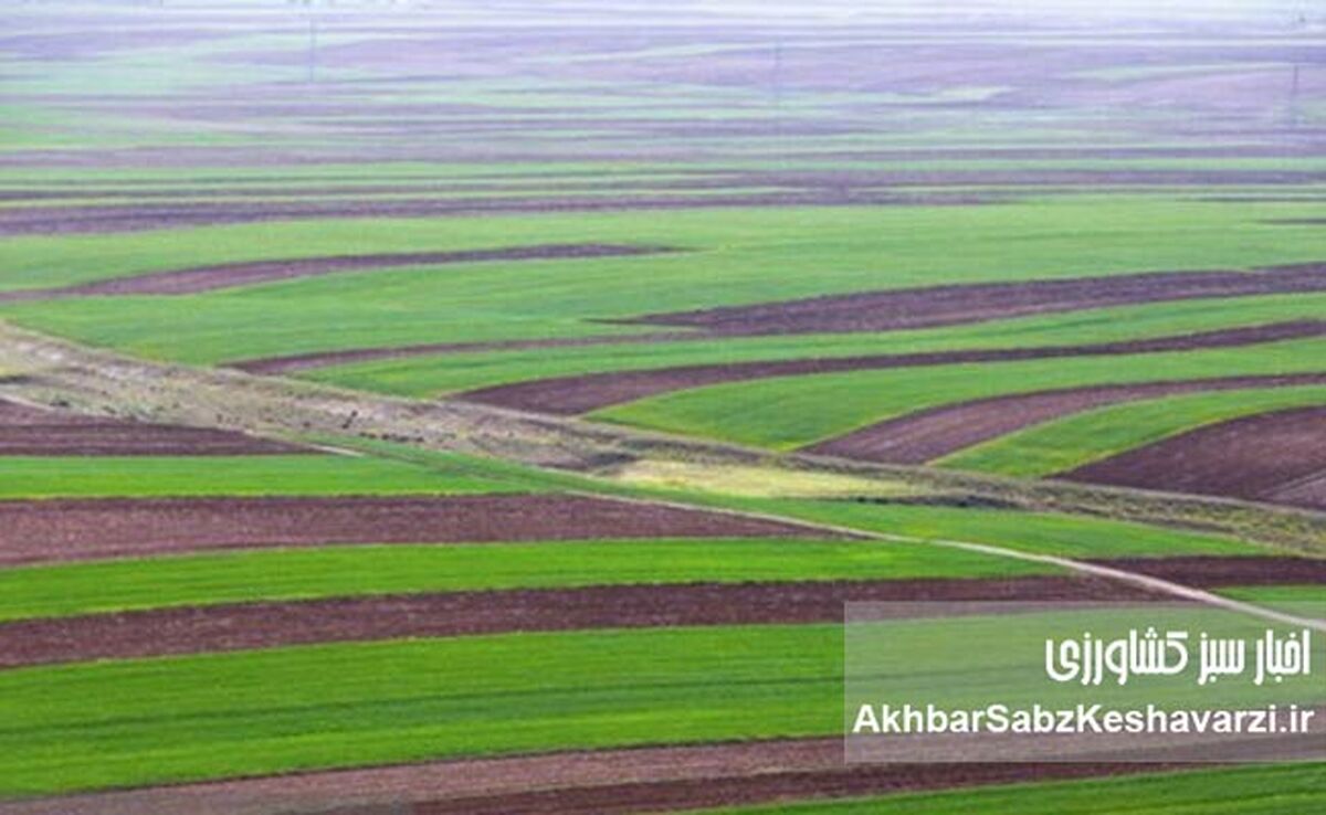 تحول در ثبت سند زمین‌ها؛ اجرای قانون الزام با شتاب می‌گیرد!
