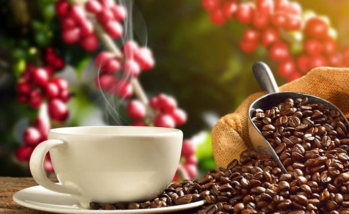 مصرف قهوه برای چه کسانی سم است؟