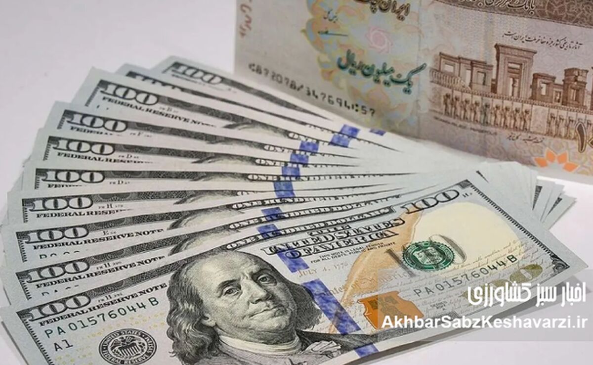 حذف ارز ترجیحی از ابتدای زنجیره؛ تصمیمی پرهزینه با پرسش‌های بی‌پاسخ + ویدئو