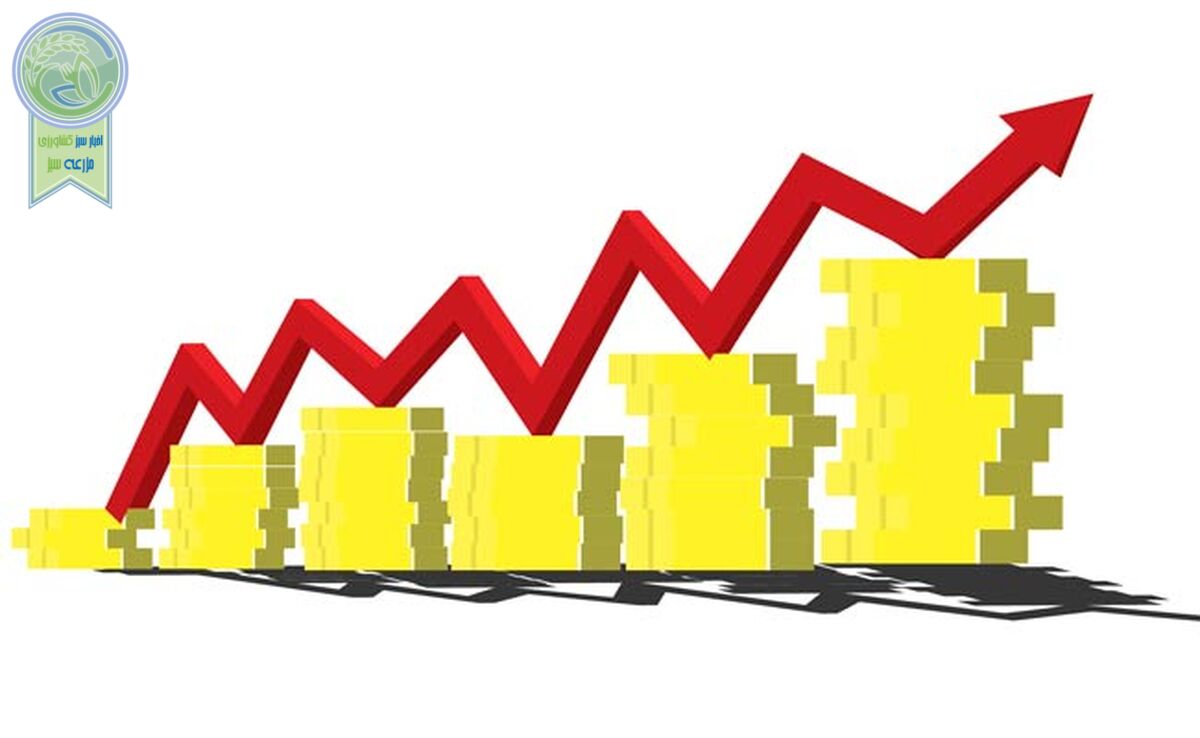 چگونه برخی کشورها توسعه می‌یابند؟

