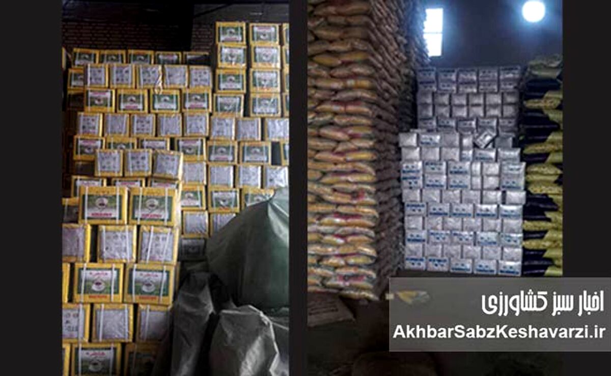 کشف ۲۶۰ تن برنج و ۱۲ تن چای قاچاق + جریمه ۲۲ میلیاردی!