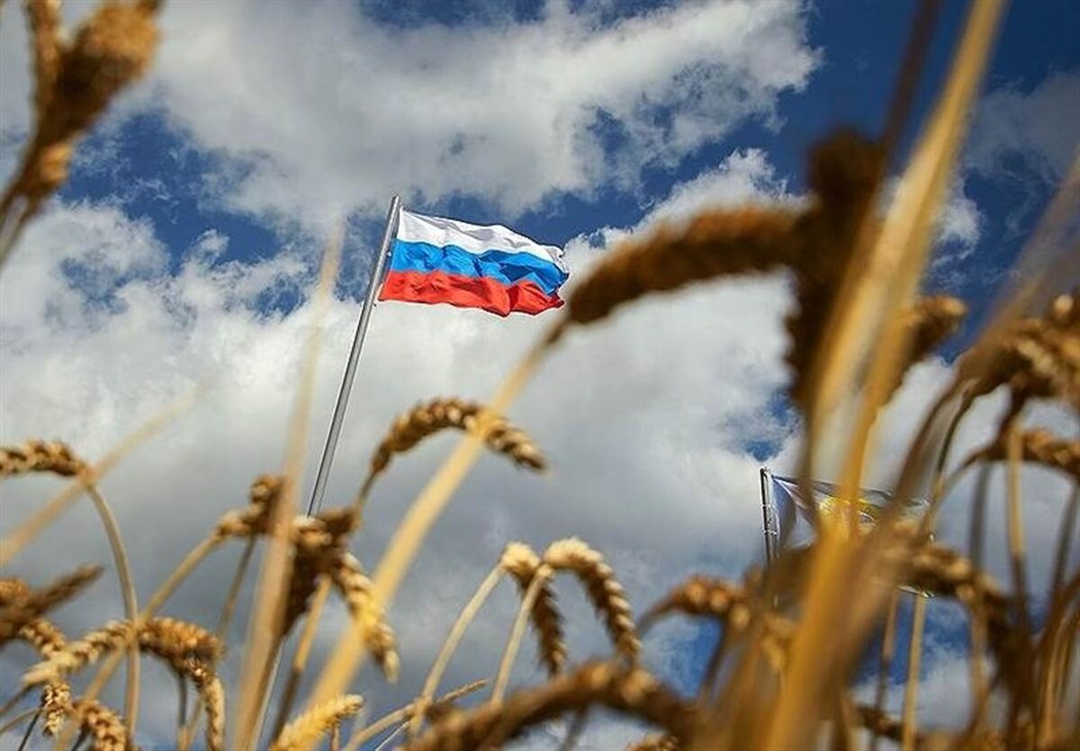 ایران مسیر خرید غلات روسیه را تغییر داد؛ خزر به مسیر تازه تأمین غلات تبدیل می‌شود