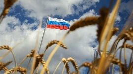 ایران مسیر خرید غلات روسیه را تغییر داد؛ خزر به مسیر تازه تأمین غلات تبدیل می‌شود