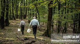 بدون مردم، هیرکانی نجات پیدا نمی‌کند؛ عبور از حفاظت دستوری به حکمرانی مشارکتی