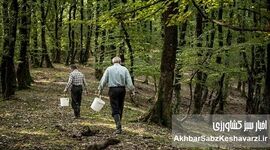 بدون مردم، هیرکانی نجات پیدا نمی‌کند؛ عبور از حفاظت دستوری به حکمرانی مشارکتی